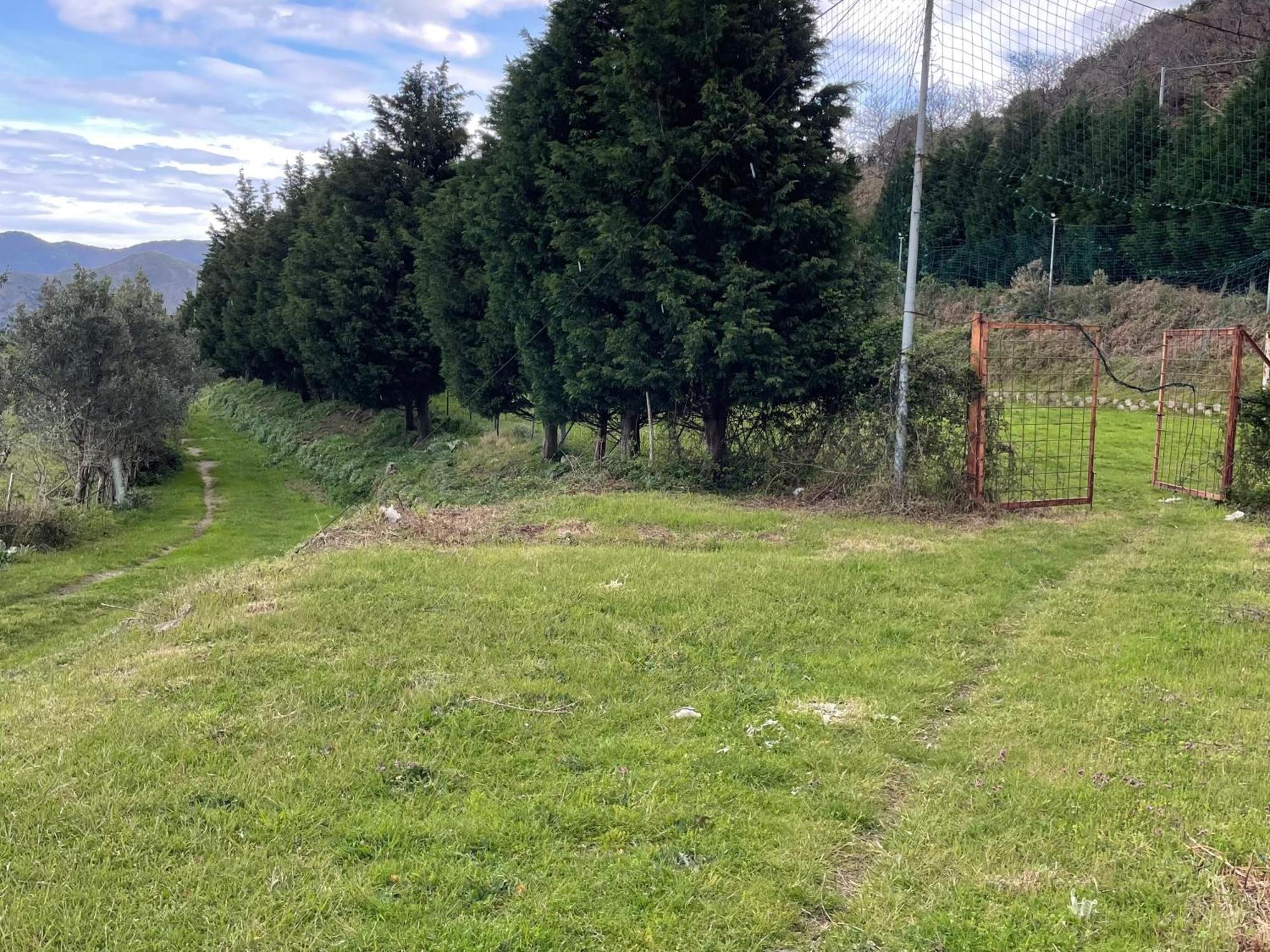 Villa Nastasi San Pier Niceto Bagian luar foto